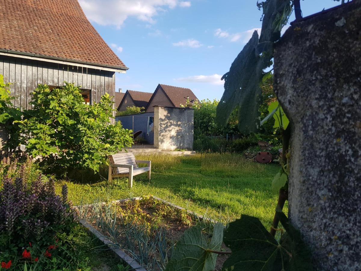 Blue Wall Bnb Gebenstorf Eksteriør bilde