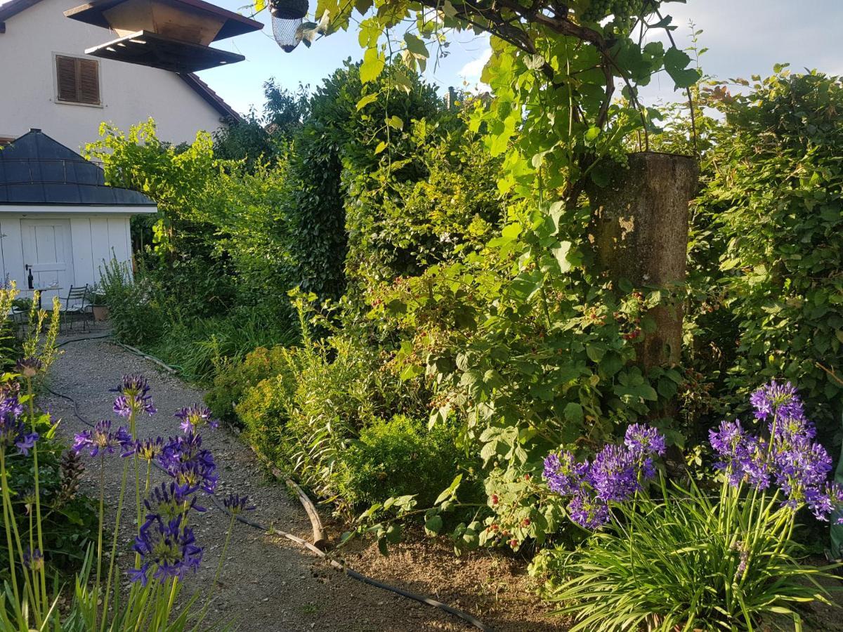 Blue Wall Bnb Gebenstorf Eksteriør bilde